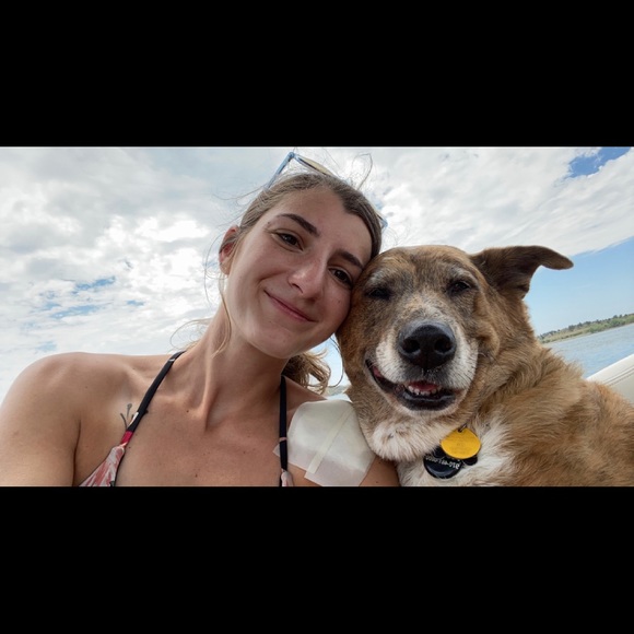 Meet your Posher, Mia - Picture 2 of 2